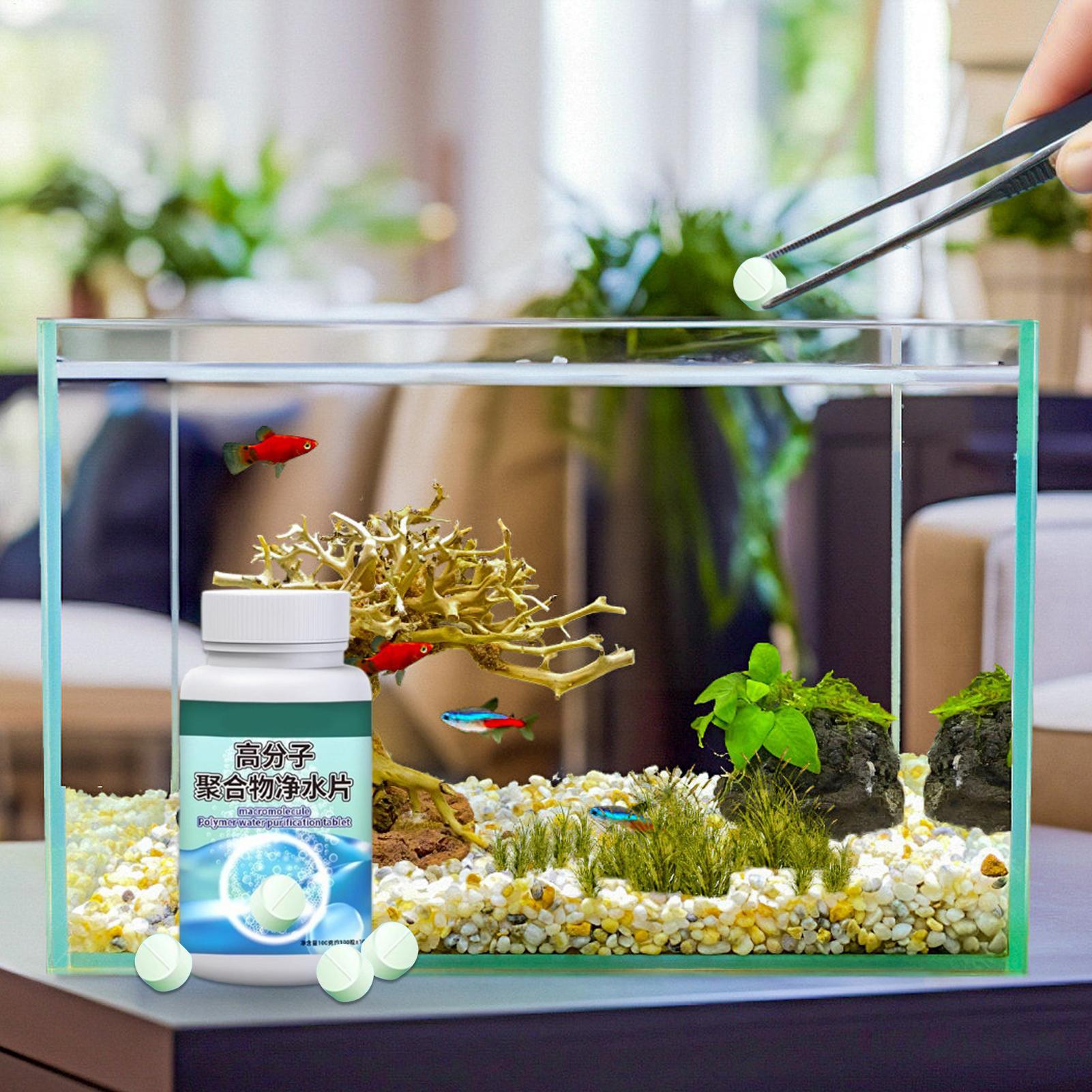 Fish Can Algae Remover Aquariu - Aquarium Fish Medicine ulasan dan harga