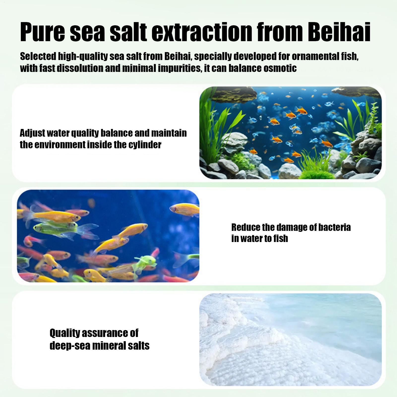 Fish Can Algae Remover Aquariu - Aquarium Fish Medicine ulasan dan harga