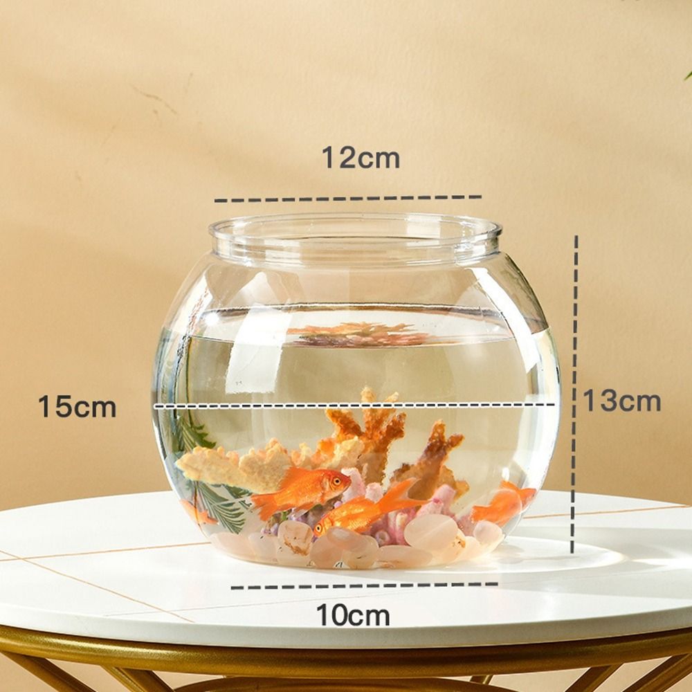 Home Decor Clear Transparent R - Aquarium Fish Names ulasan dan harga