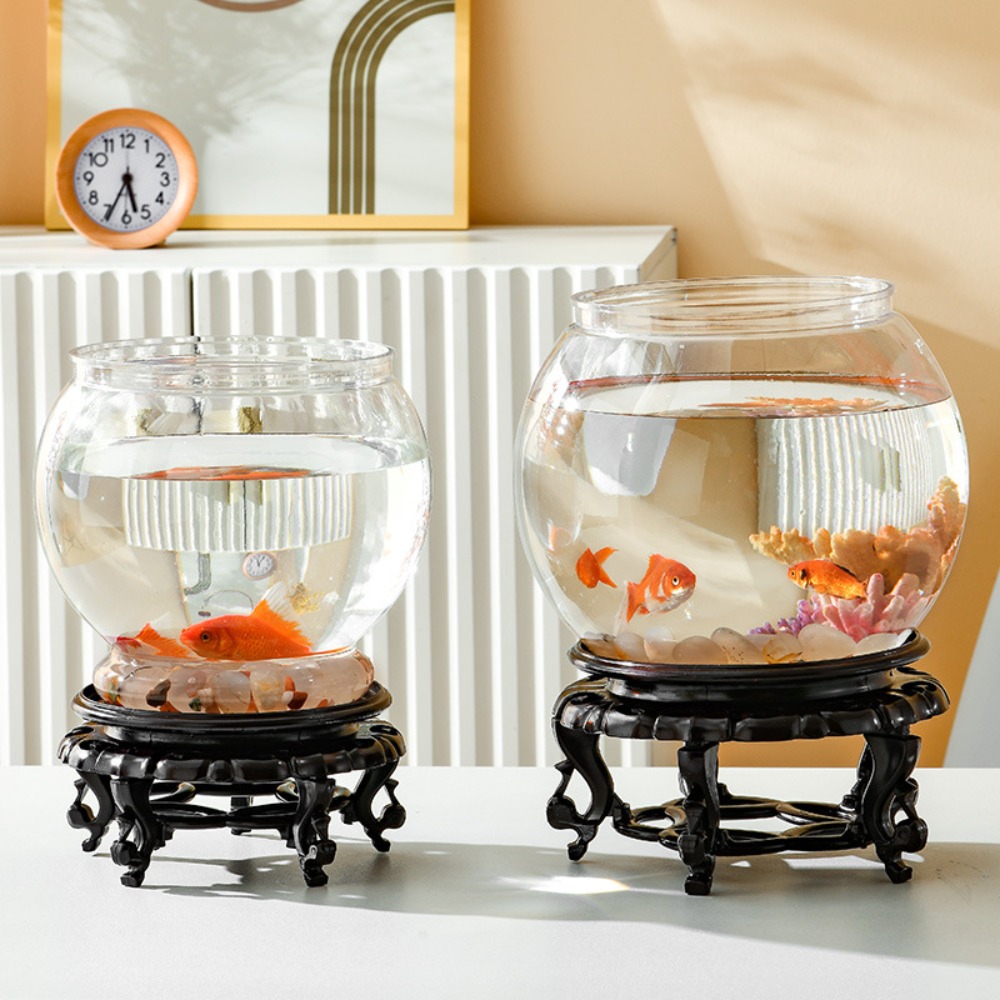 Home Decor Clear Transparent R - Aquarium Fish Names ulasan dan harga