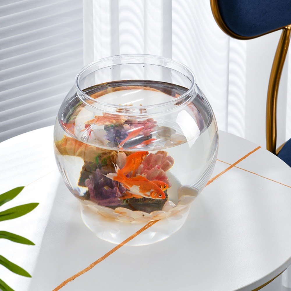 Home Decor Clear Transparent R - Aquarium Fish Names ulasan dan harga