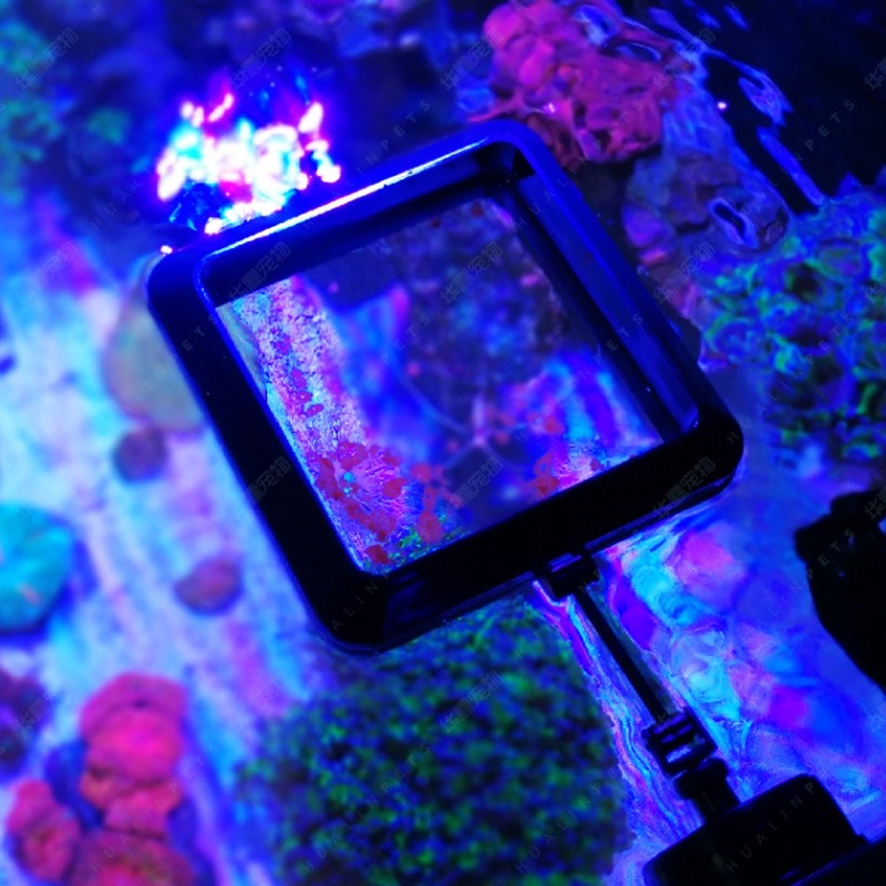 VASTOCEAN Magnetic Feeding Rin - Aquarium Fish Food ulasan dan harga