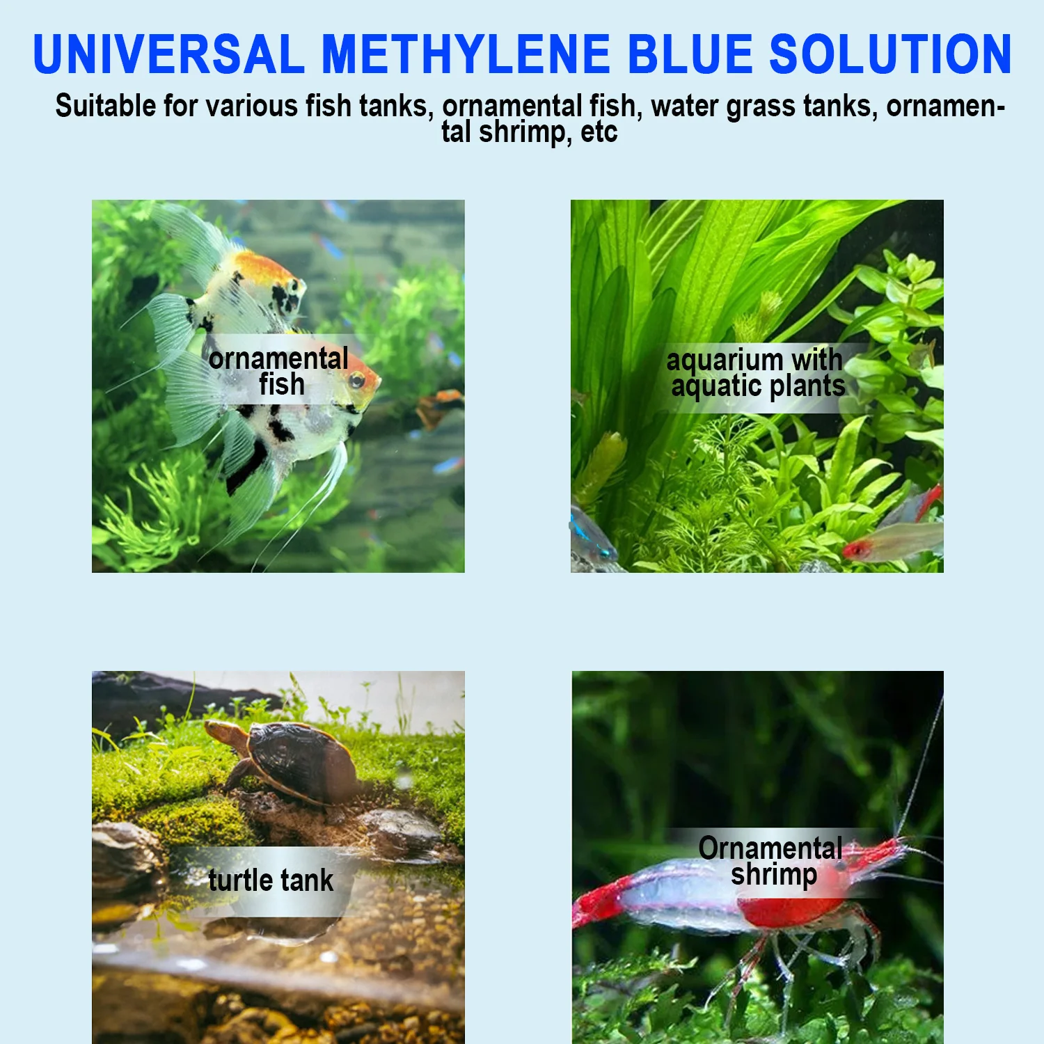 Methylene Blue Aquarium Fish T - Aquarium Fish Medicine ulasan dan harga