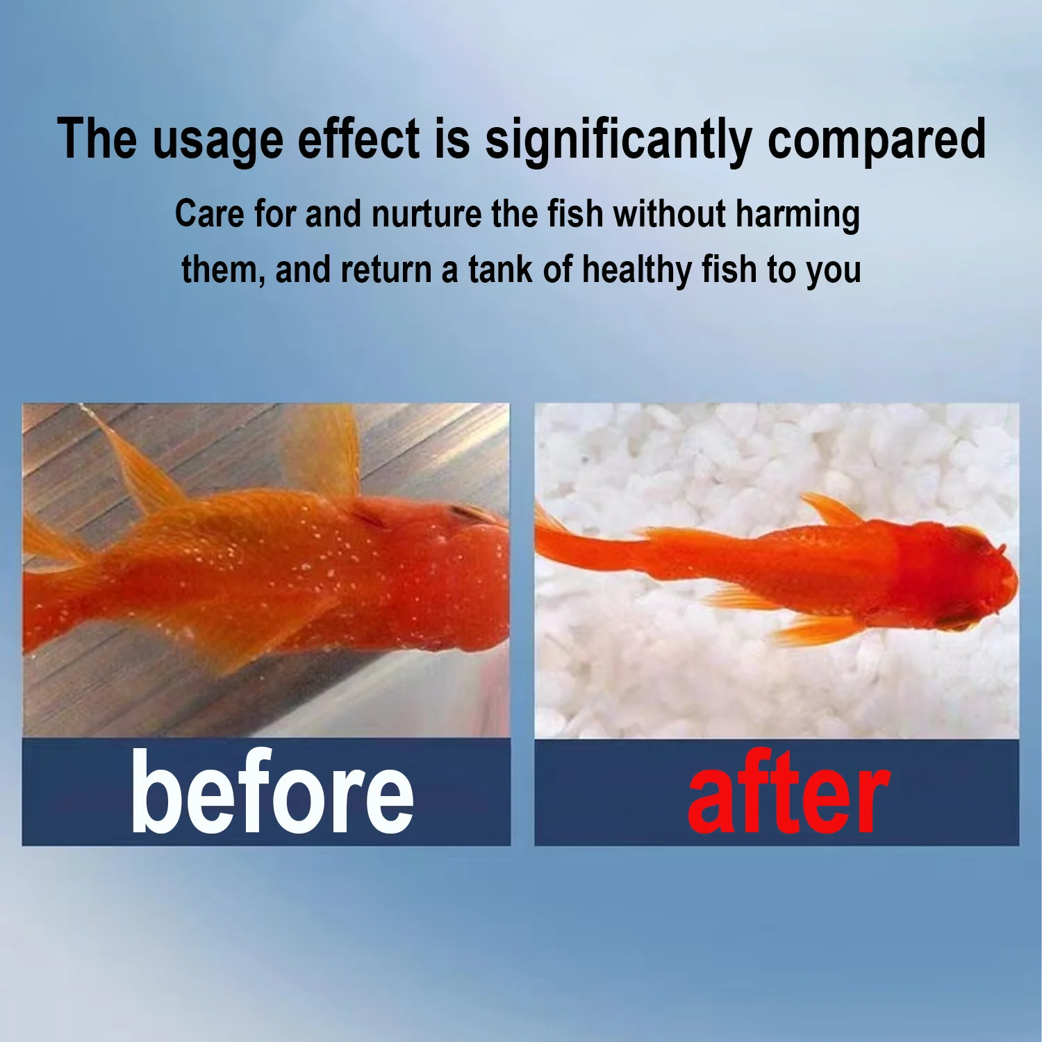 Premium Methylene Blue Fish Me - Aquarium Fish Medicine ulasan dan harga