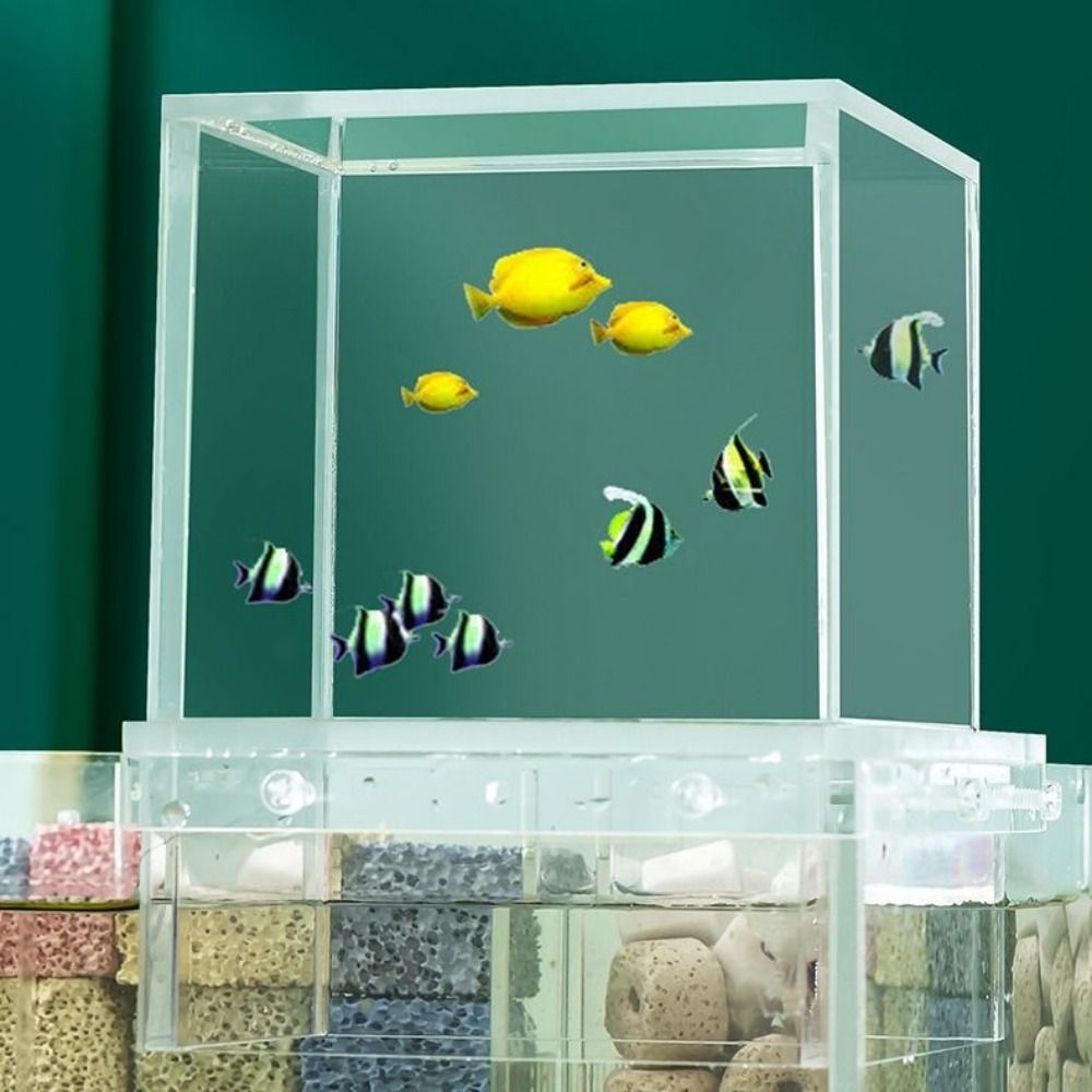 Landscaping Negative Pressure  - Aquarium Fish Pot ulasan dan harga