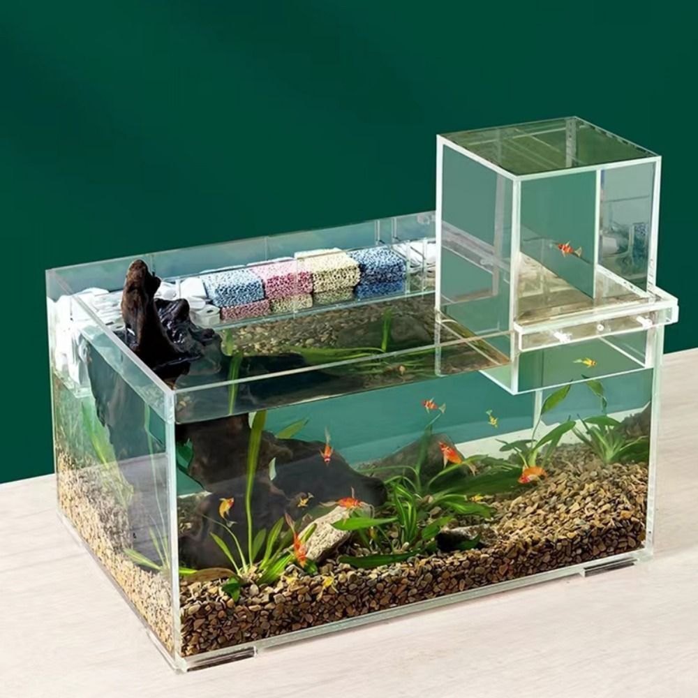 Landscaping Negative Pressure  - Aquarium Fish Pot ulasan dan harga