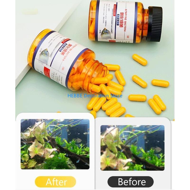 B0KC Nitrifying Capsules Estab - Aquarium Fish Medicine ulasan dan harga