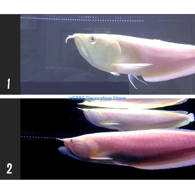 B0KC Nitrifying Capsules Estab - Aquarium Fish Medicine ulasan dan harga