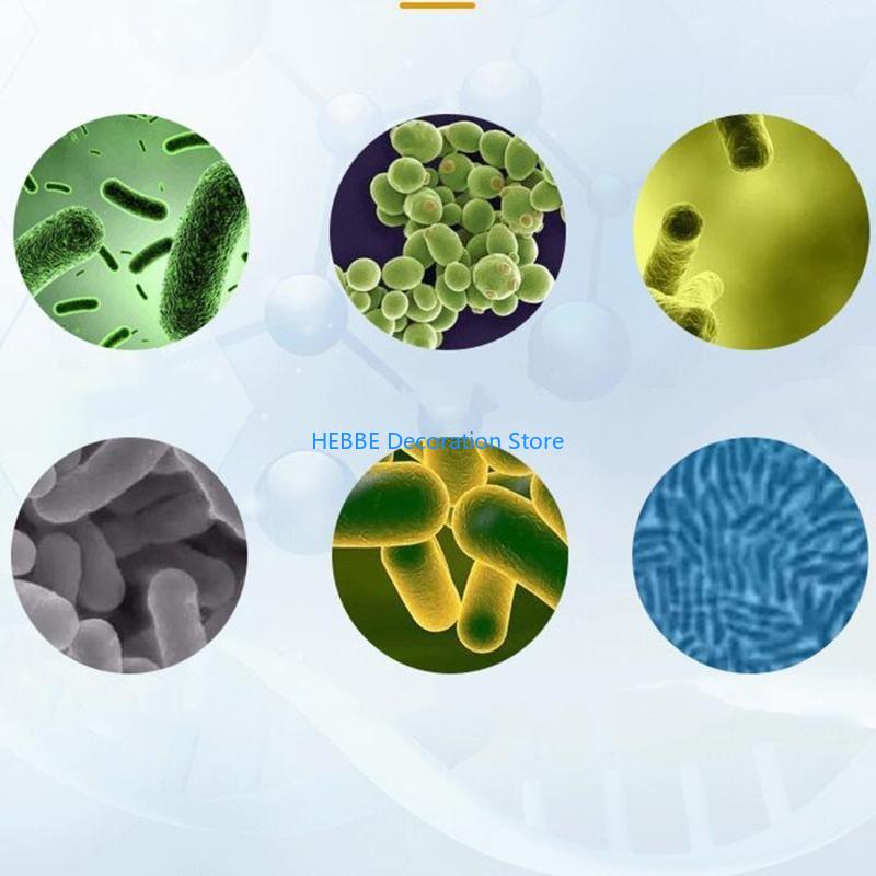 B0KC Nitrifying Capsules Estab - Aquarium Fish Medicine ulasan dan harga