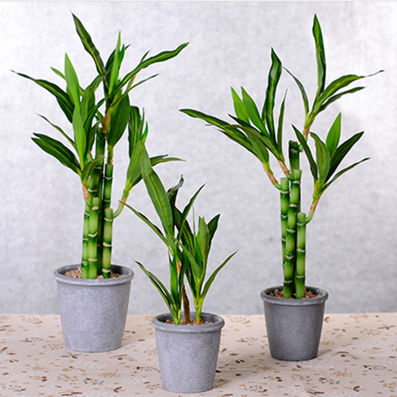 New 40cm Artificial Lucky Bamb - Aquarium Fish Names ulasan dan harga