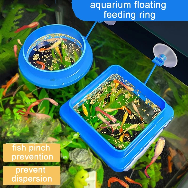 Floating Aquarium Fish Feeding - Aquarium Fish Medicine ulasan dan harga