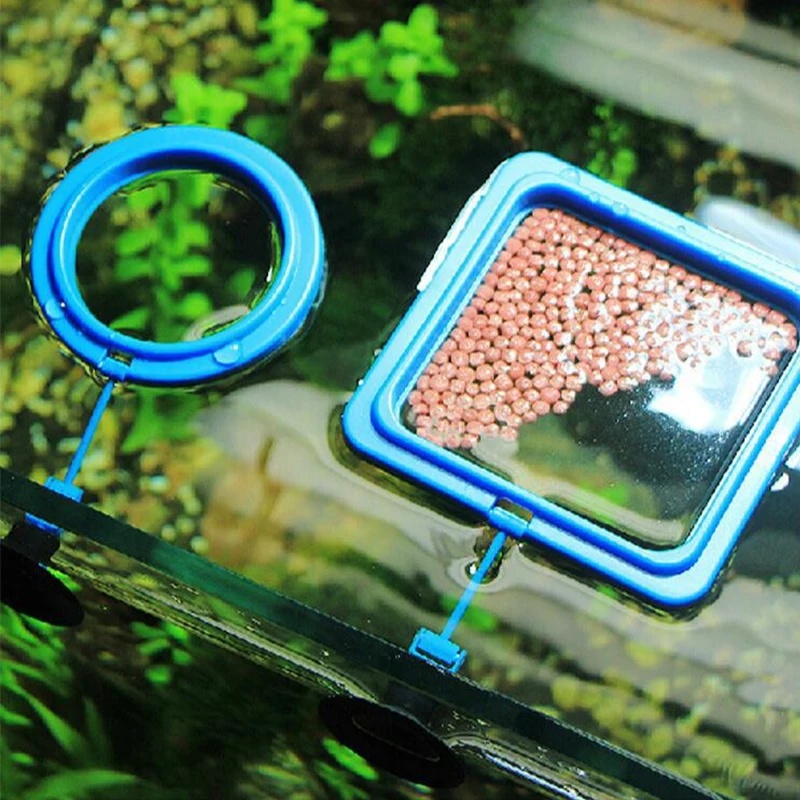Floating Aquarium Fish Feeding - Aquarium Fish Medicine ulasan dan harga