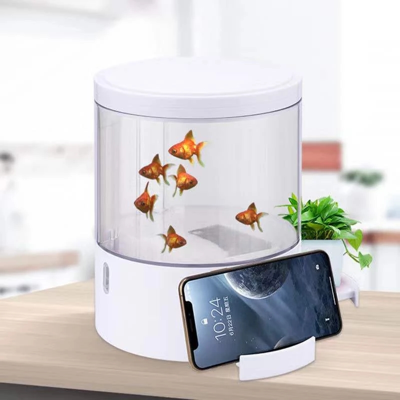 Round colorful lights desktop  - Aquarium Fish Colorful ulasan dan harga