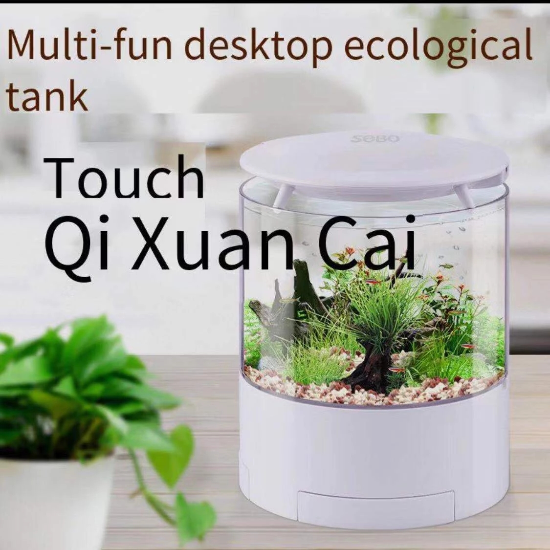 Round colorful lights desktop  - Aquarium Fish Colorful ulasan dan harga