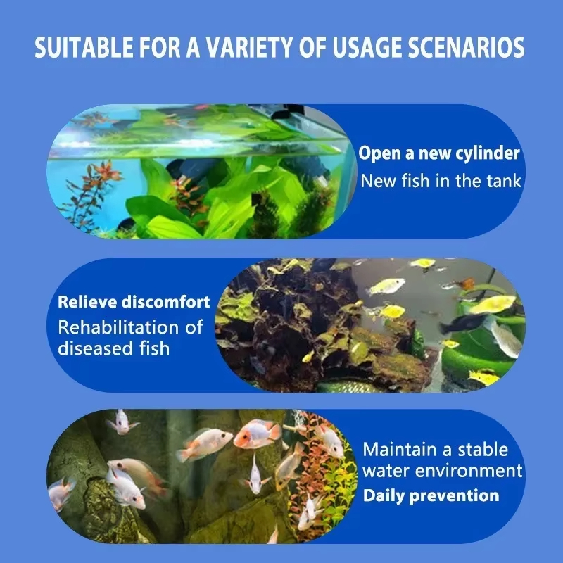 SIKEZHAN Fish Disease Treatmen - Aquarium Fish Medicine ulasan dan harga