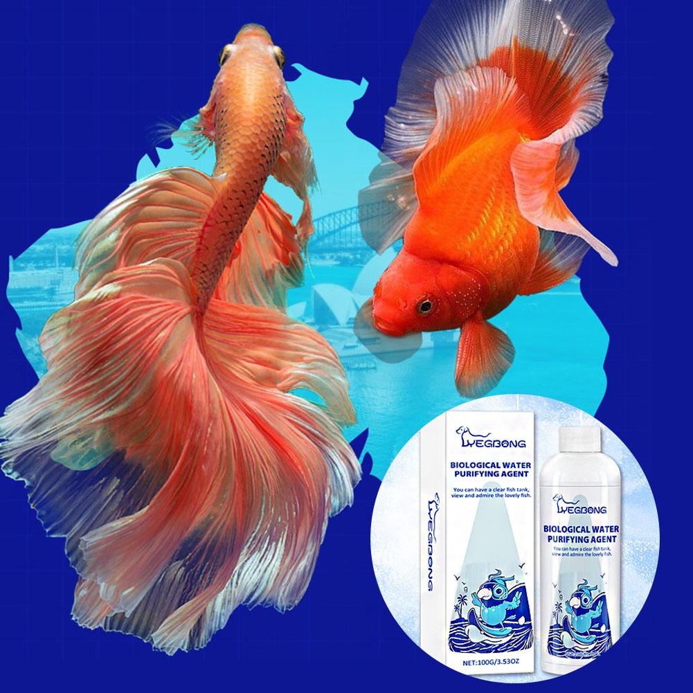 Aquarium Water Conditioner Eff - Aquarium Fish Medicine ulasan dan harga