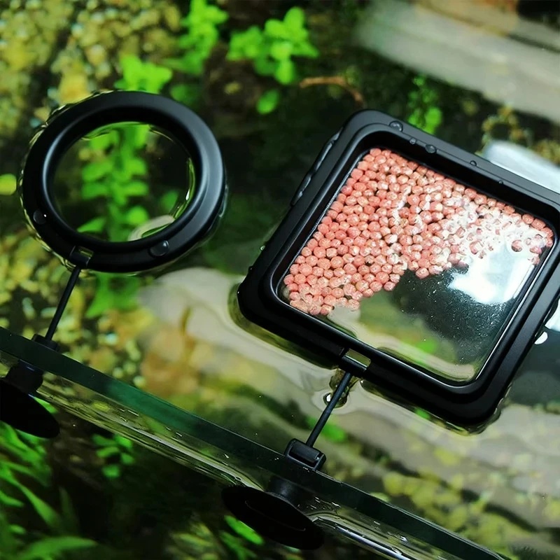 1/3pcs Aquarium Fish Feeding R - Aquarium Fish Food ulasan dan harga