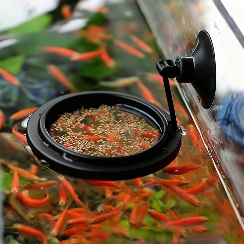 1/3pcs Aquarium Fish Feeding R - Aquarium Fish Food ulasan dan harga