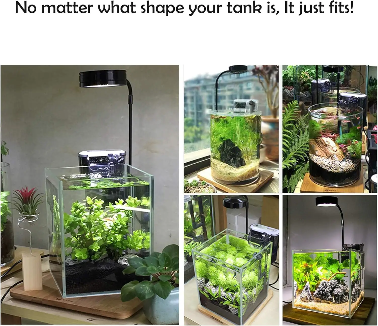 LED Aquarium Grow Light with B - Aquarium Fish Pot ulasan dan harga