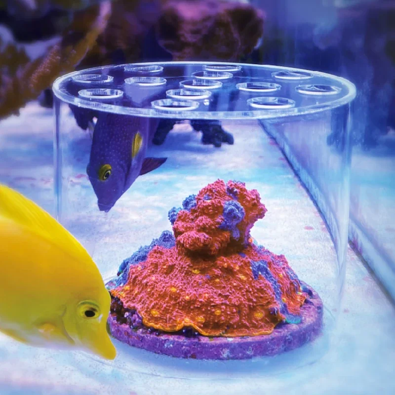 Vastocean Aquarium Arcylic Cor - Aquarium Fish Food ulasan dan harga
