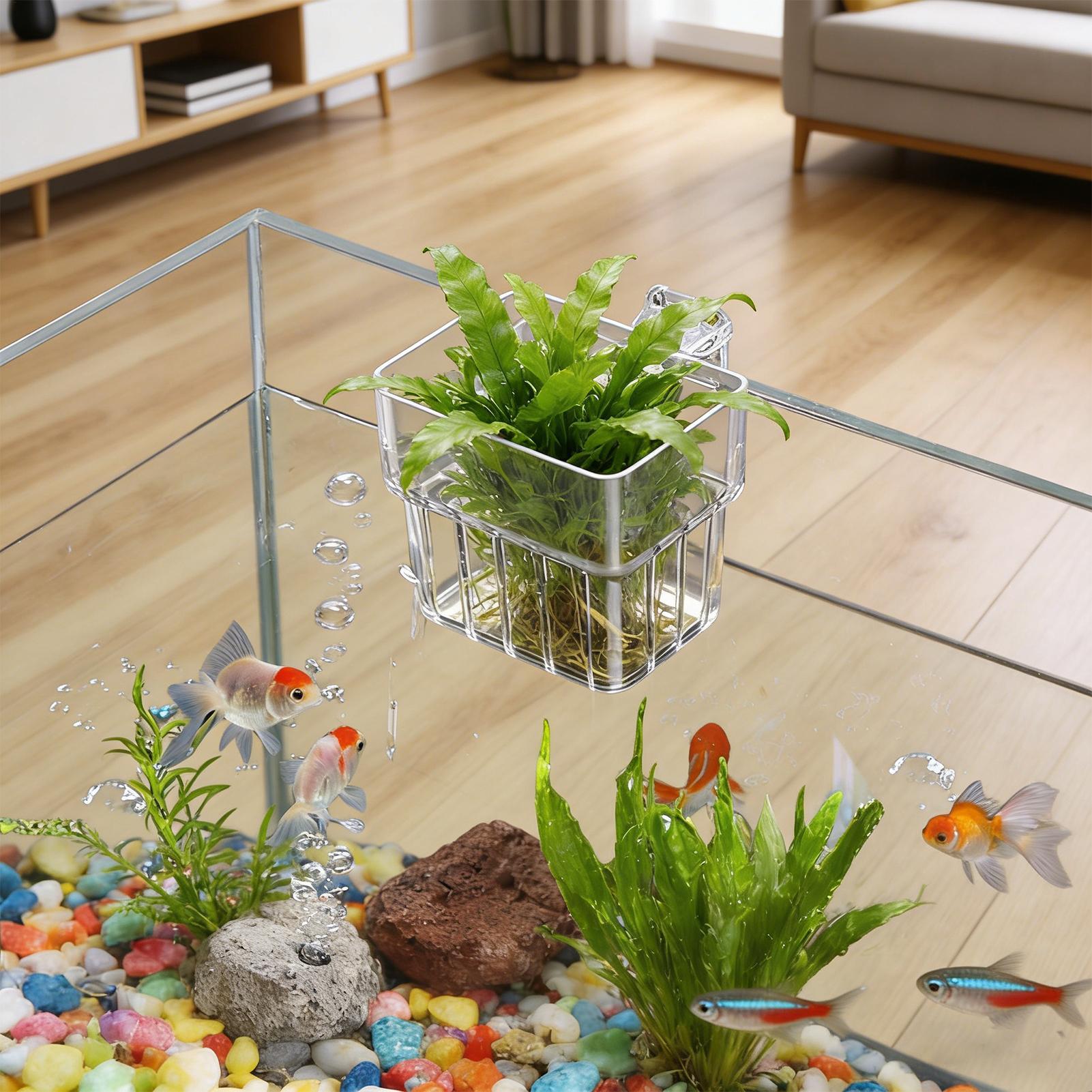 Transparent Hangable Aquarium  - Aquarium Fish Names ulasan dan harga