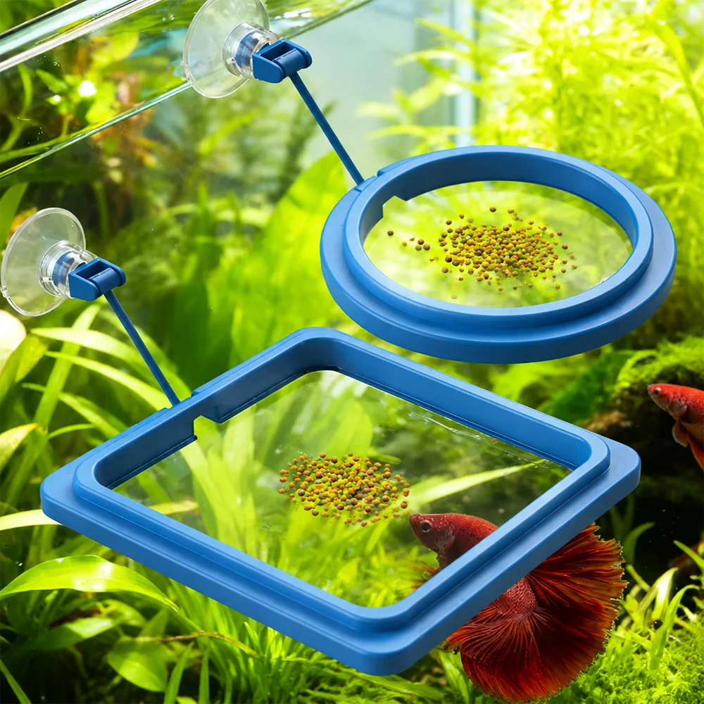 Betta Fish Food Floating Mini  - Aquarium Fish Medicine ulasan dan harga