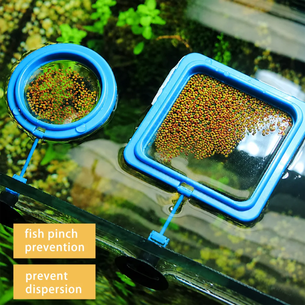 Betta Fish Food Floating Mini  - Aquarium Fish Medicine ulasan dan harga