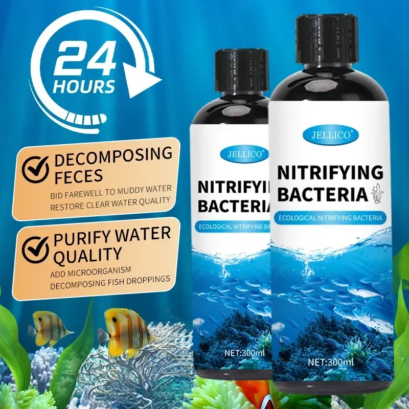 Nitrifying Bacteria Liquid Fis - Aquarium Fish Medicine ulasan dan harga