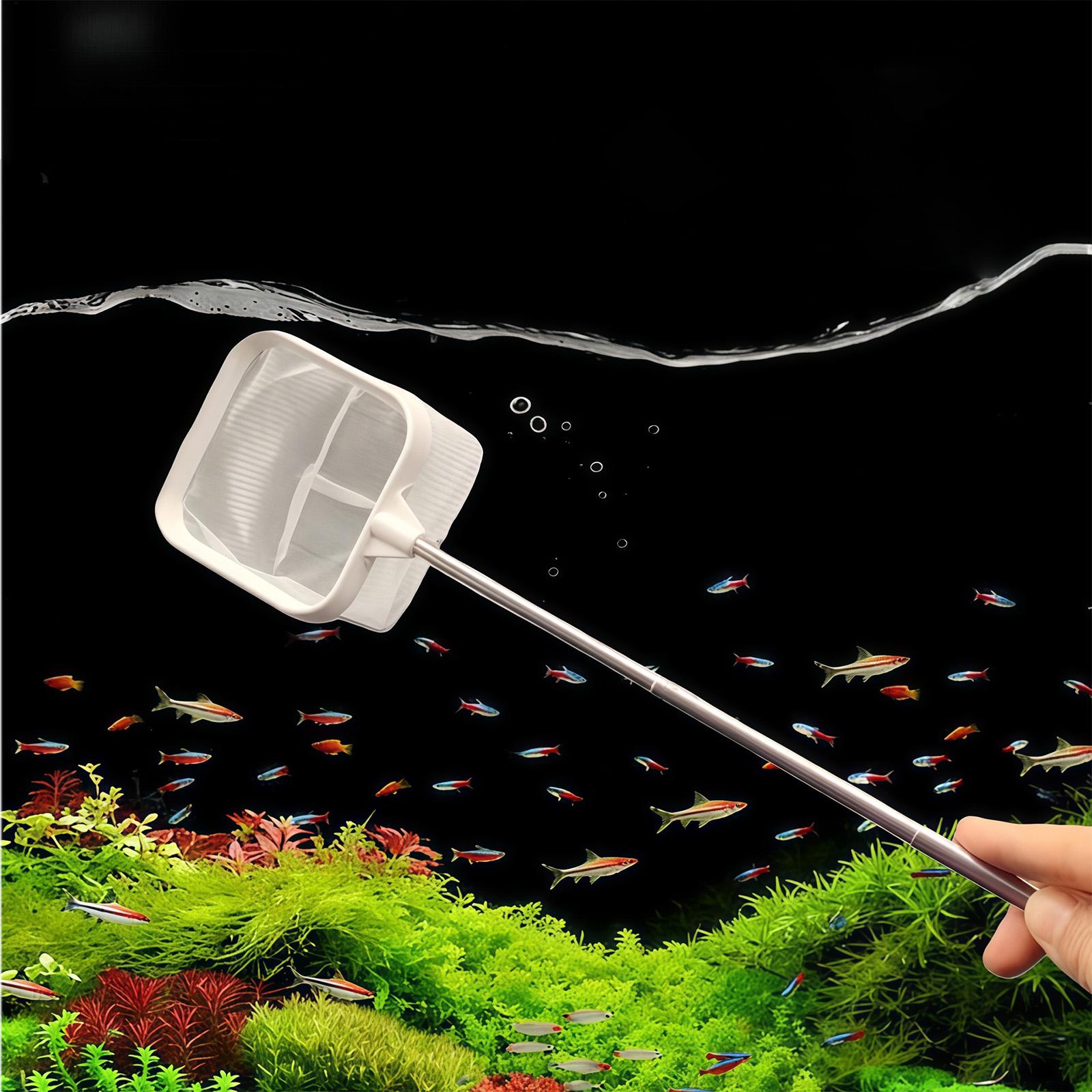 Extendable Long Handle Fine Me - Aquarium Fish Net Small ulasan dan harga
