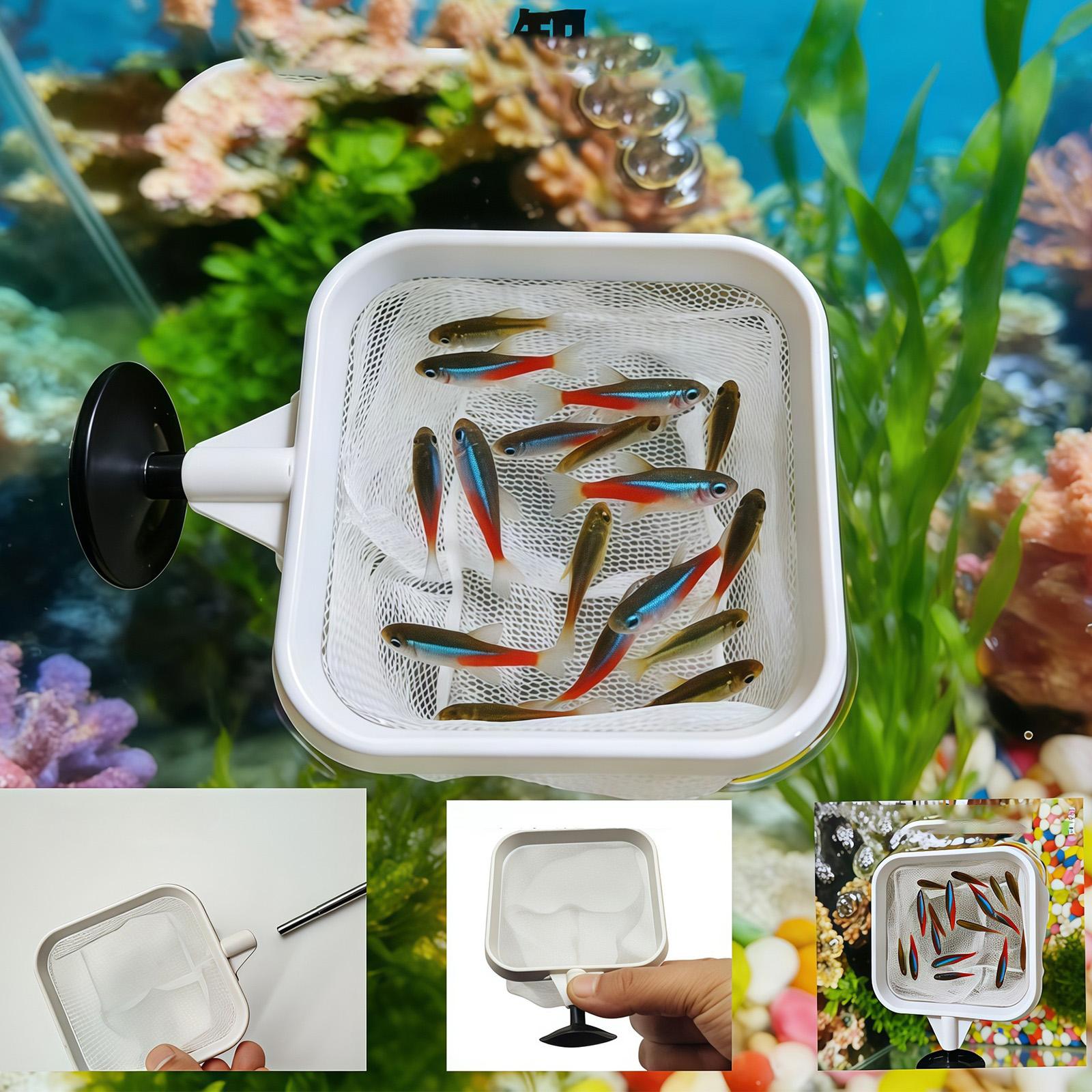Extendable Long Handle Fine Me - Aquarium Fish Net Small ulasan dan harga