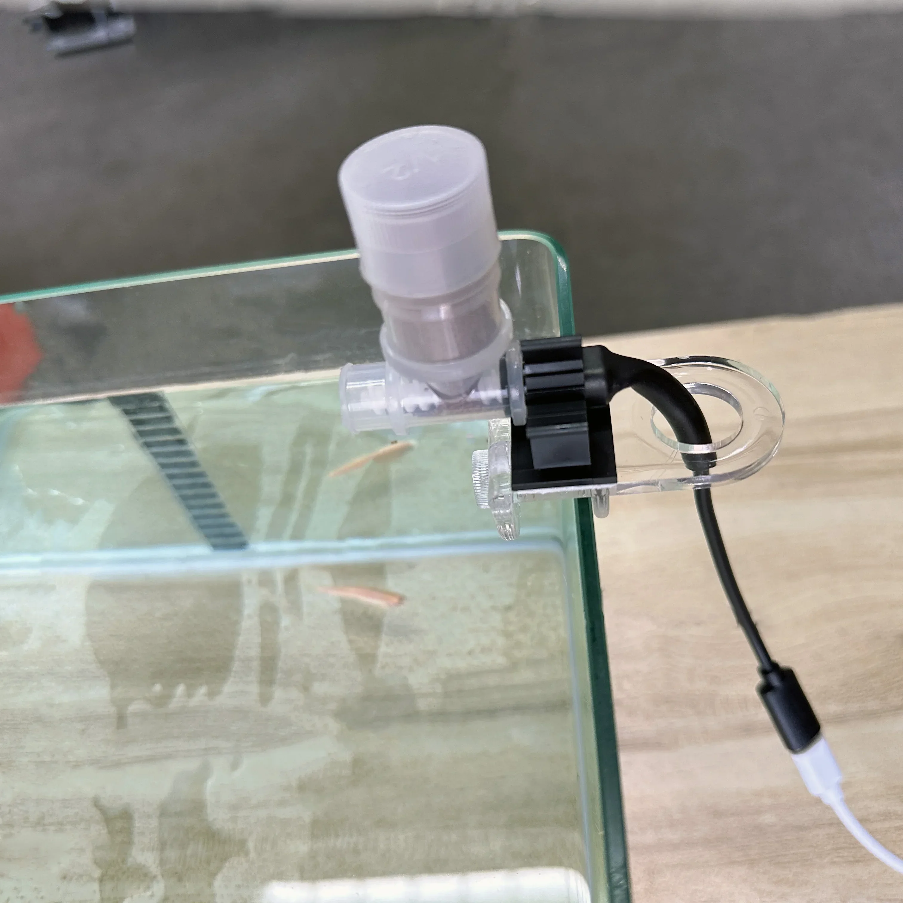 Best Automatic Fish Feeder - W - Aquarium Fish Food ulasan dan harga