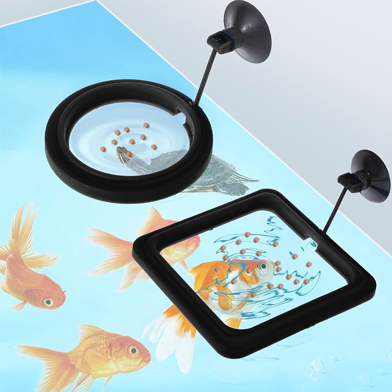 Aquarium Fish Tank Feeding Rin - Aquarium Fish Medicine ulasan dan harga