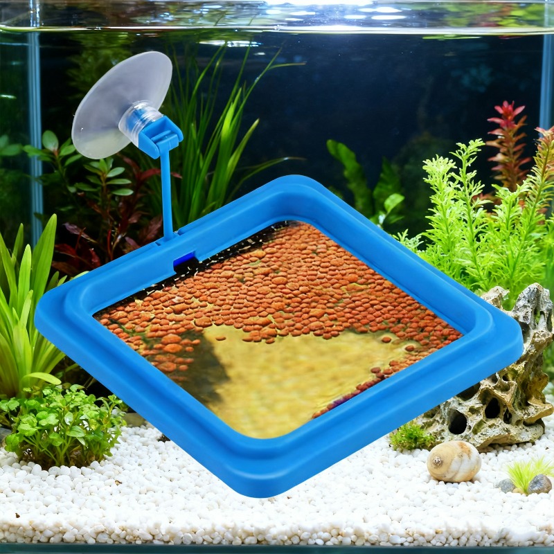 Aquarium Fish Tank Feeding Rin - Aquarium Fish Medicine ulasan dan harga