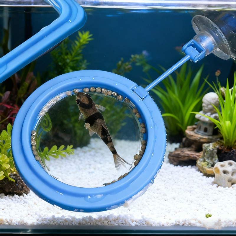 Aquarium Fish Tank Feeding Rin - Aquarium Fish Medicine ulasan dan harga