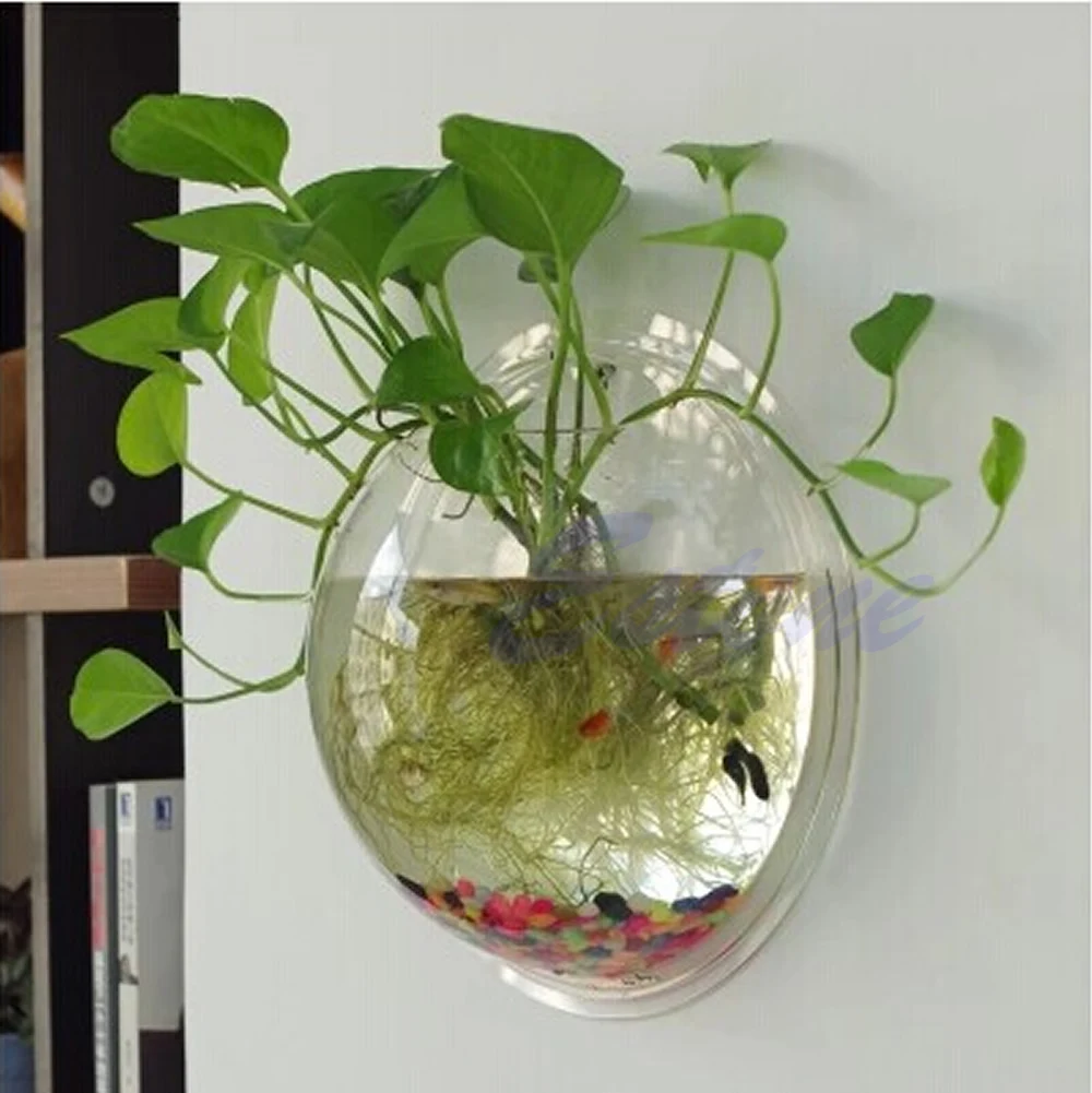 Pot Wall Hanging Mount Bubble  - Aquarium Fish Pot ulasan dan harga