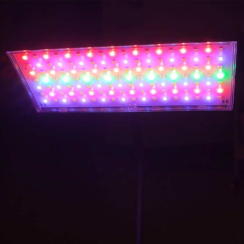 3 Light Color Adjustable Aquar - Aquarium Fish Light Lamp ulasan dan harga
