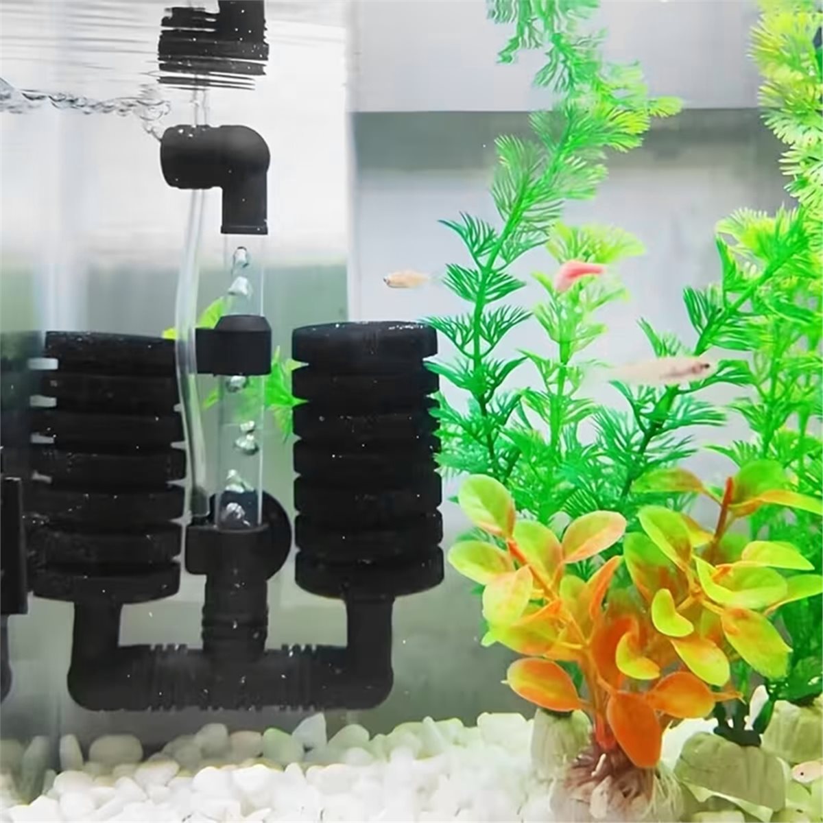 【MUST-HAVE LIST】 Aquarium Filt - Aquarium Fish List ulasan dan harga