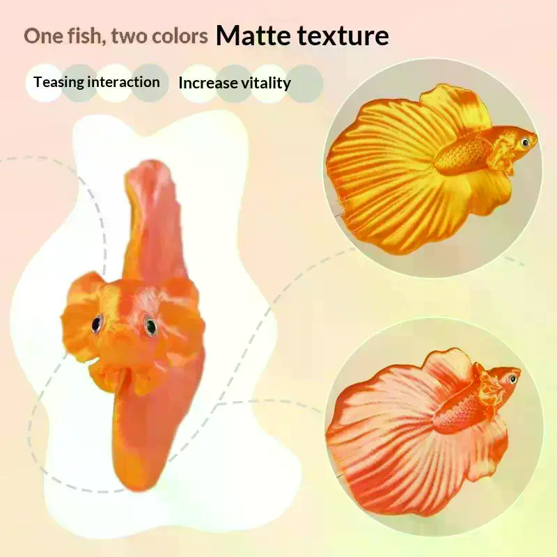 Colorful Aquarium Betta Traini - Aquarium Fish Colorful ulasan dan harga
