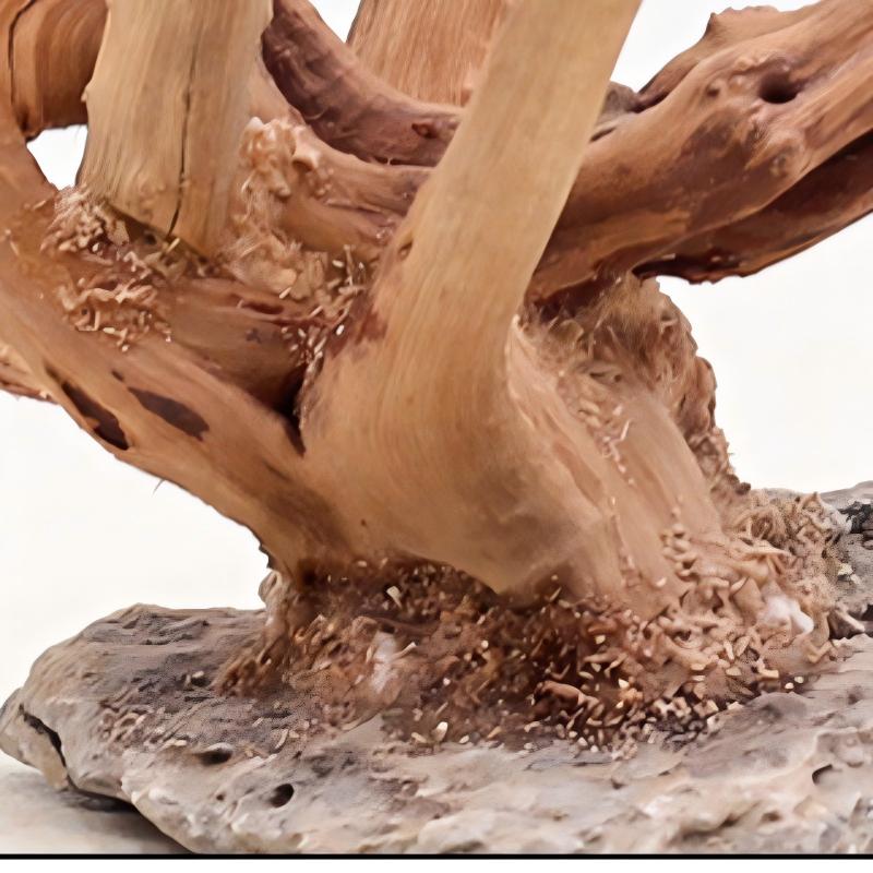 1PC Aquarium Landscaping Wood  - Aquarium Fish Names ulasan dan harga
