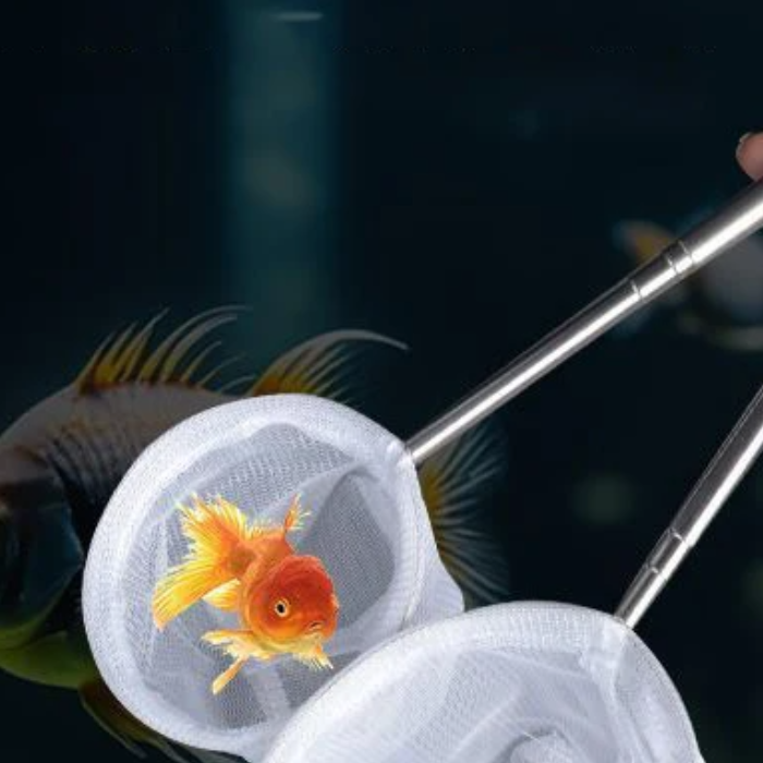 Aquarium Fish Fishing Net Stai - Aquarium Fish Net Small ulasan dan harga