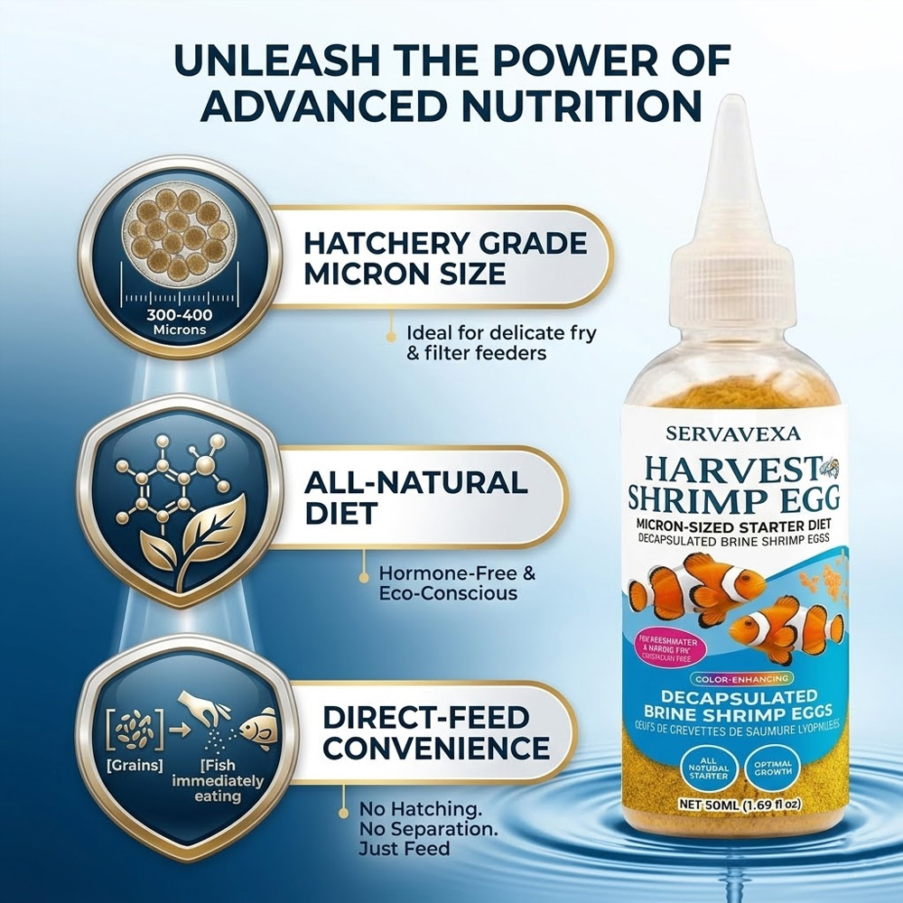 High Protein Fish Food for Bet - Aquarium Fish Medicine ulasan dan harga
