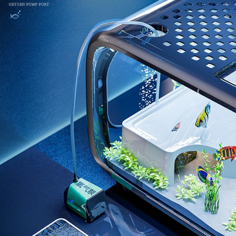 Transparent Luxury Fish Tank D - Aquarium Fish Pot ulasan dan harga