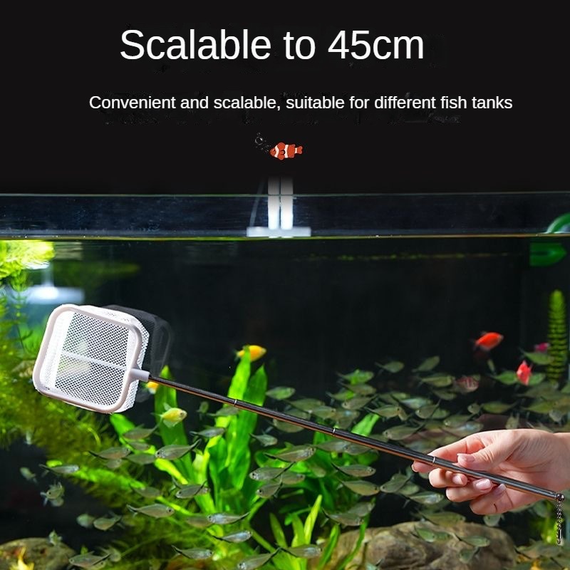 Aquarium 3D Fish Fishing Net S - Aquarium Fish Net Small ulasan dan harga