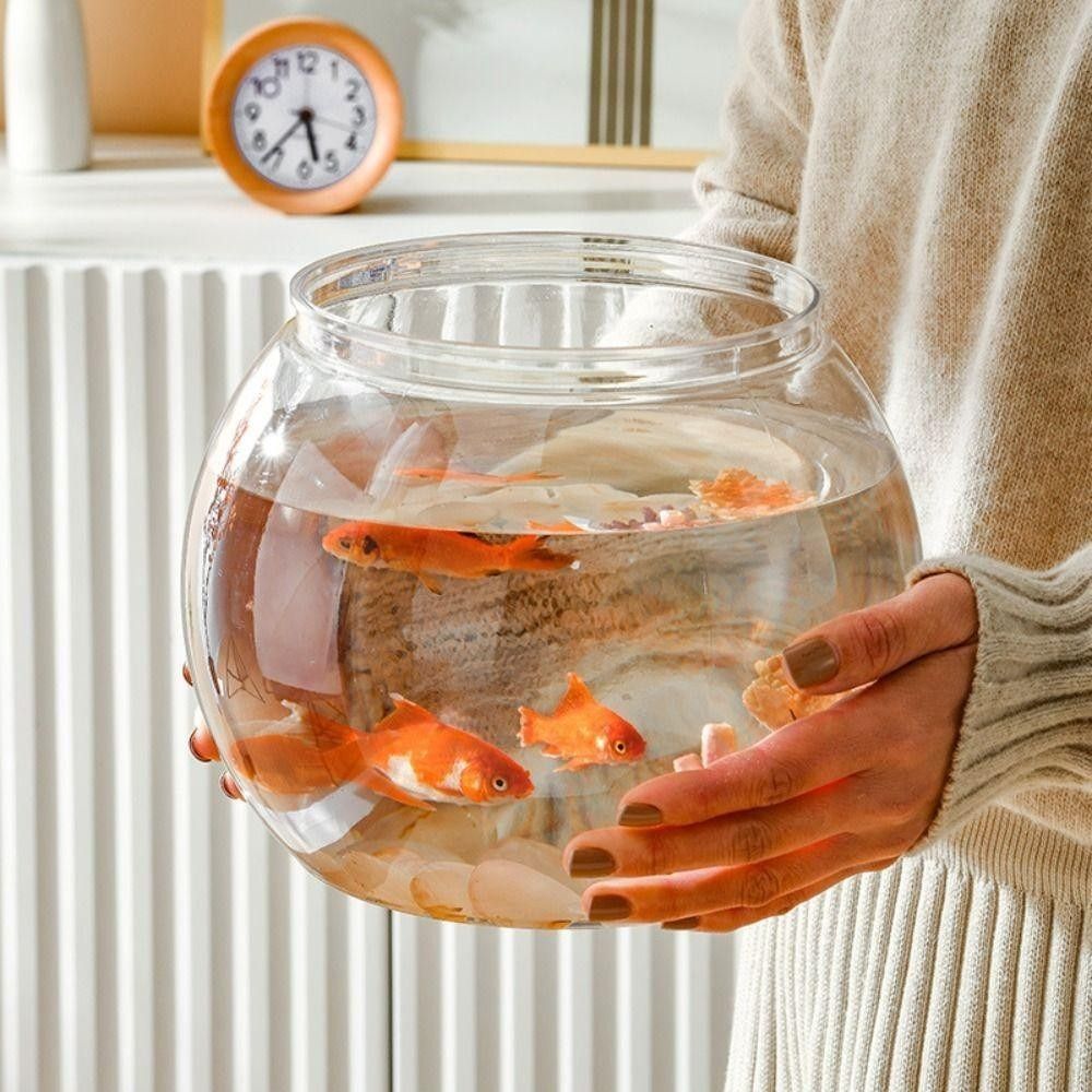New Transparent Fish Tank Roun - Aquarium Fish Names ulasan dan harga