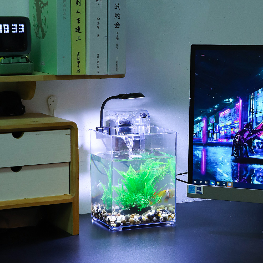USB Desktop Fish Tank Set-Easy - Aquarium Fish Pot ulasan dan harga
