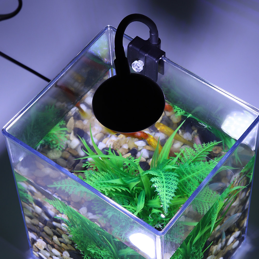 USB Desktop Fish Tank Set-Easy - Aquarium Fish Pot ulasan dan harga