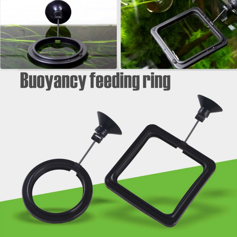 Aquarium Fish Feeding Ring Fis - Aquarium Fish Medicine ulasan dan harga